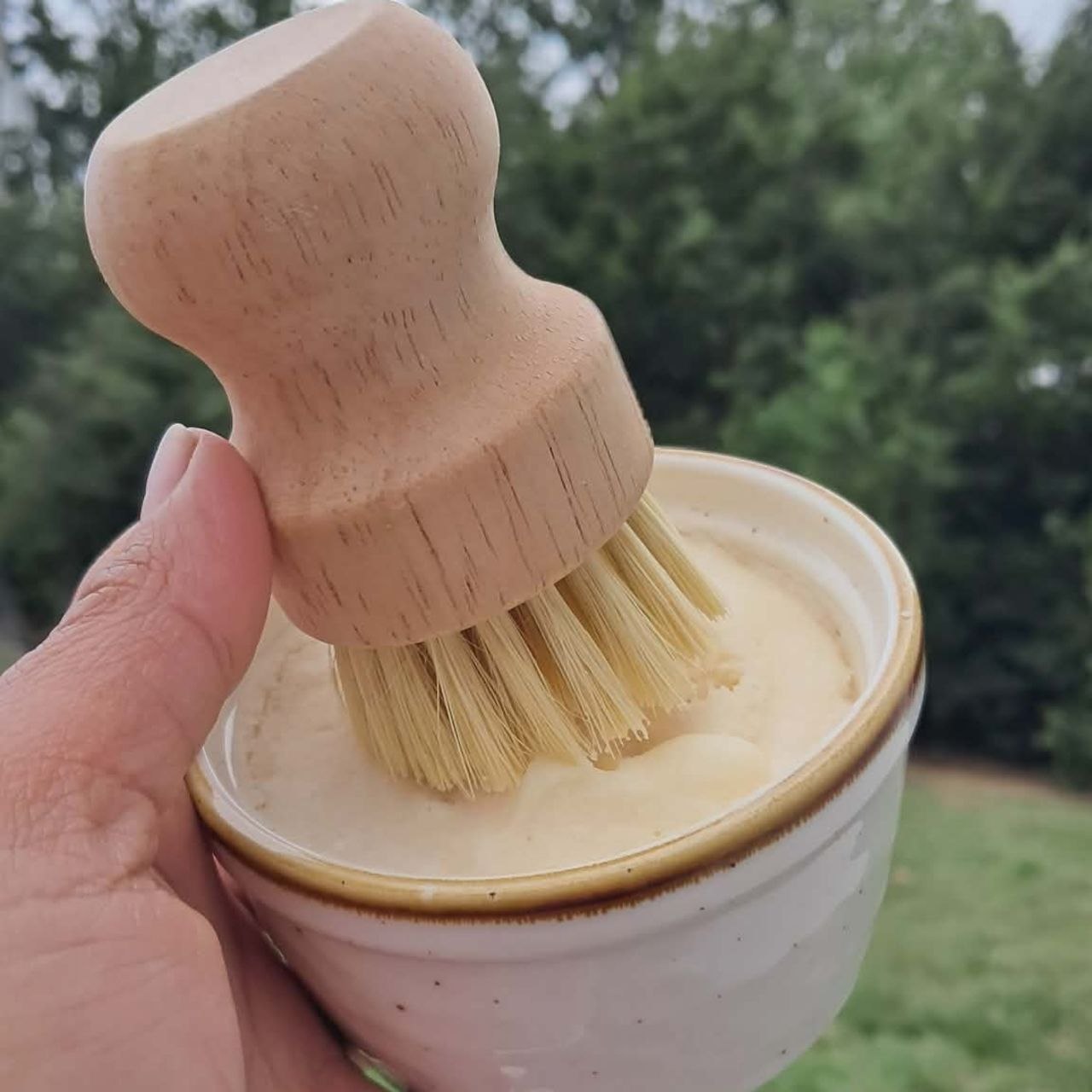 Natural Citrus Solid Dish Soap